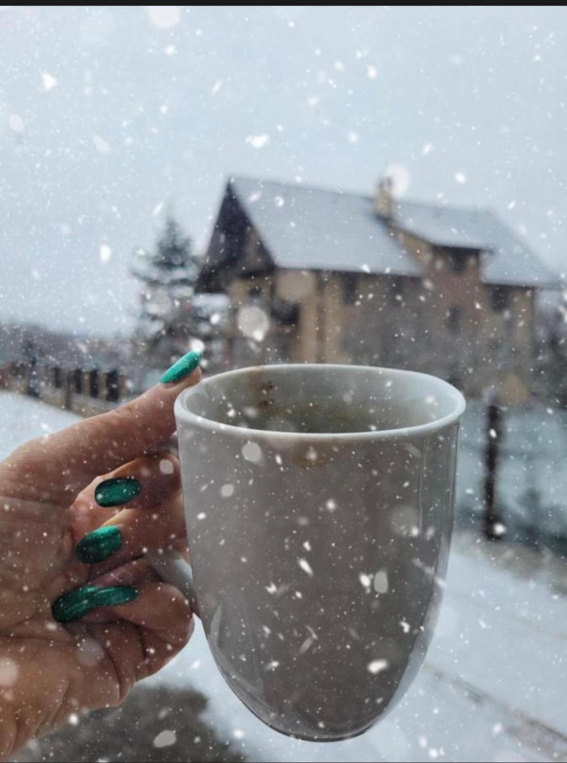 Green Apartaments Zărneşti エクステリア 写真